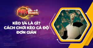 Kèo 1/4 là gì? Cách chơi kèo cá độ đơn giản từ nhà cái 8US